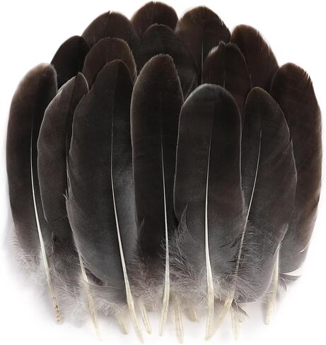 Holmgren White Large Goose Feathers Bulk for Crafting, 200pcs 5-7inch in Kuwait