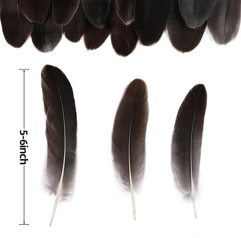 Holmgren White Large Goose Feathers Bulk for Crafting, 200pcs 5-7inch in Kuwait