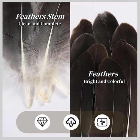 Holmgren White Large Goose Feathers Bulk for Crafting, 200pcs 5-7inch in Kuwait