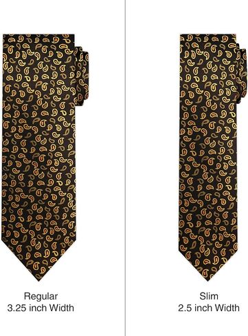 Jacob Alexander Men's Woven Paisley Pattern Regular or Slim Neck Tie in Kuwait