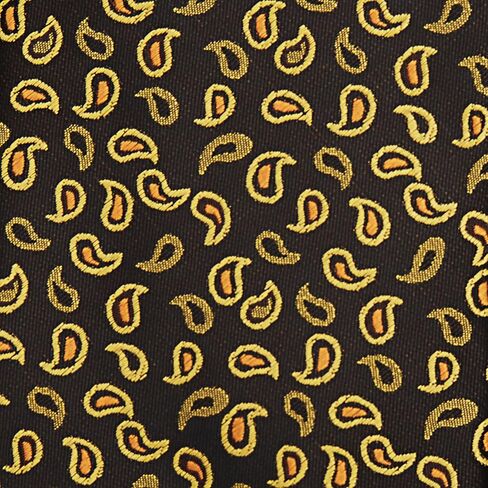 Jacob Alexander Men's Woven Paisley Pattern Regular or Slim Neck Tie in Kuwait