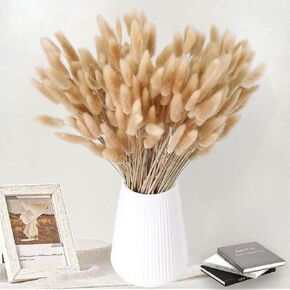 180 قطعة من ديكور عشب بامباس المجفف بذيل الأرنب، عشب بامباس صغير بني مقاس 17 بوصة، زهور مجففة بذيل أرنب طبيعي، زهور بنية بامباس عشب مجففة لحفلات زفاف بوهو، حفلة عيد ميلاد الطفل in Kuwait