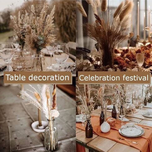 180 قطعة من ديكور عشب بامباس المجفف بذيل الأرنب، عشب بامباس صغير بني مقاس 17 بوصة، زهور مجففة بذيل أرنب طبيعي، زهور بنية بامباس عشب مجففة لحفلات زفاف بوهو، حفلة عيد ميلاد الطفل in Kuwait