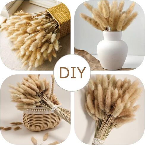 180 قطعة من ديكور عشب بامباس المجفف بذيل الأرنب، عشب بامباس صغير بني مقاس 17 بوصة، زهور مجففة بذيل أرنب طبيعي، زهور بنية بامباس عشب مجففة لحفلات زفاف بوهو، حفلة عيد ميلاد الطفل in Kuwait