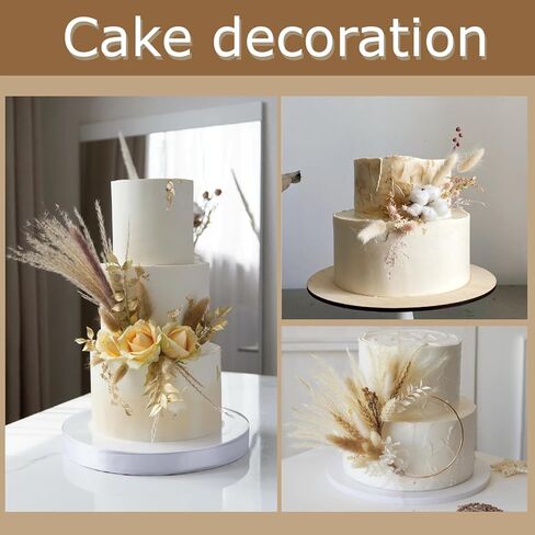 180 قطعة من ديكور عشب بامباس المجفف بذيل الأرنب، عشب بامباس صغير بني مقاس 17 بوصة، زهور مجففة بذيل أرنب طبيعي، زهور بنية بامباس عشب مجففة لحفلات زفاف بوهو، حفلة عيد ميلاد الطفل in Kuwait