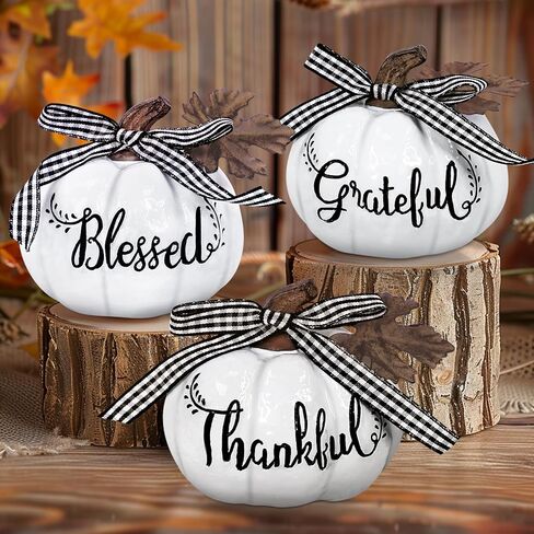 TURNMEON Fall Decorations-Set of 3 Thankful Grateful Blessed Resin Artificial Pumpkins Decor, Fall Pumpkin Centerpiece for Fall Autumn Harvest Thanksgiving Table Decorations Home Decor, Orange in Kuwait