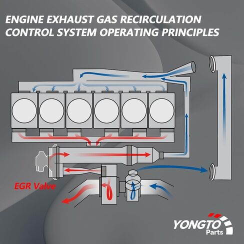 EGV1055 EGR Valve Exhaust Gas Recirculation Valve Compatible with Ford Explorer, Explorer Sport Trac, Mercury Mountaineer 2004-2010, V6 4.0L Replace OE 5L2Z9D475A 4L2E9Y456H3A 4L2Z9D475A in Kuwait