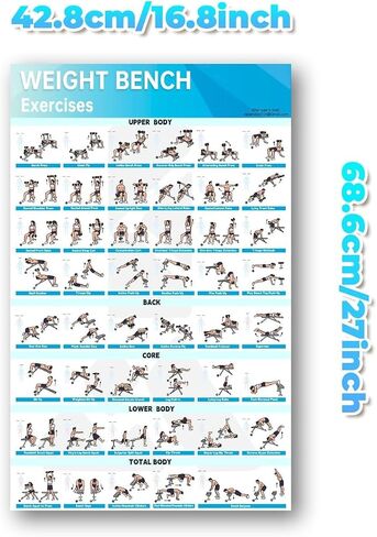 Fitness Bench Poster Adjustable Benches Poster in Saudi Arabia