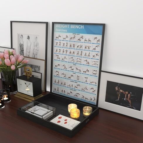 Fitness Bench Poster Adjustable Benches Poster in Saudi Arabia
