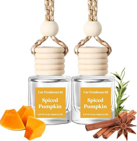 Car Air Freshener Hanging,Cute Air Diffuser for Car, Long Lasting Car Air Fresheners, Car Fresheners for Women, Made in USA (2 Pack) in Saudi Arabia