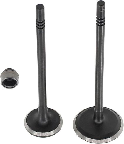 Engine Intake and Exhaust Valves for Dodge Avenger Challenger Charger Durango Grand Caravan Journey Ram 1500 CV ProMaster Jeep Grand Cherokee Wrangler Chrysler 200 300 Town & Country 3.6 in Saudi Arabia