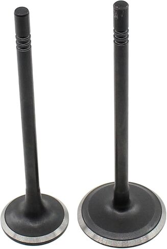 Engine Intake and Exhaust Valves for Dodge Avenger Challenger Charger Durango Grand Caravan Journey Ram 1500 CV ProMaster Jeep Grand Cherokee Wrangler Chrysler 200 300 Town & Country 3.6 in Saudi Arabia
