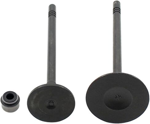 Engine Intake and Exhaust Valves for Dodge Avenger Challenger Charger Durango Grand Caravan Journey Ram 1500 CV ProMaster Jeep Grand Cherokee Wrangler Chrysler 200 300 Town & Country 3.6 in Saudi Arabia