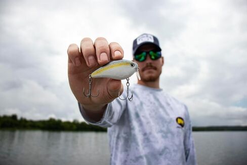 Strike King (HCKVD2.5W-469) KVD 2.5 Wake Bait Fishing Lure, 469 - TN Shad 2.0, 3/8 oz, Unique Clacking Sound in Saudi Arabia