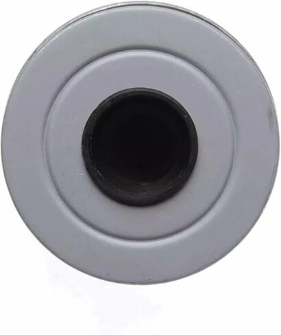 TP1256 Fuel Filter Element Replacement For 1994-2001 6.5L C1500 C2500 C3500 K1500 K2500 With Cap in Saudi Arabia