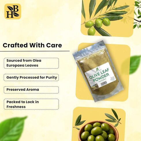 Olive Leaf C/S | Cut & Sifted | Olea Europaea | Wildcrafted | 4oz in Saudi Arabia