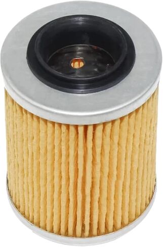 420256188 HF152 21040111601 عنصر فلتر الزيت لـ HF152 X8 CF400AU 400 0800-011300 ODES 800cc(1 قطعة) in Saudi Arabia
