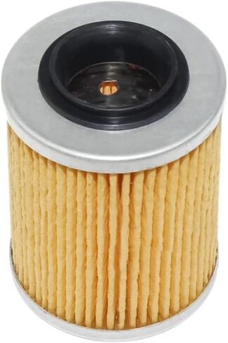 420256188 HF152 21040111601 عنصر فلتر الزيت لـ HF152 X8 CF400AU 400 0800-011300 ODES 800cc(1 قطعة) in Saudi Arabia