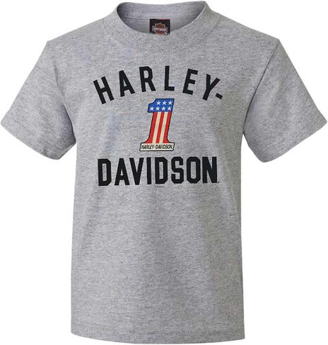 تي شيرت Harley-Davidson Little Boys رقم 1 ذو أكمام قصيرة ورقبة دائرية - رمادي رياضي in Saudi Arabia