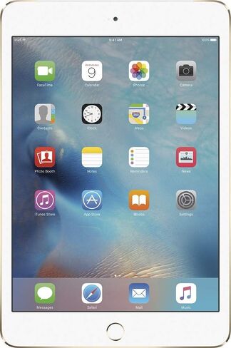 Apple iPad Mini 4, 16GB, Space Gray - WiFi (Renewed) in Saudi Arabia