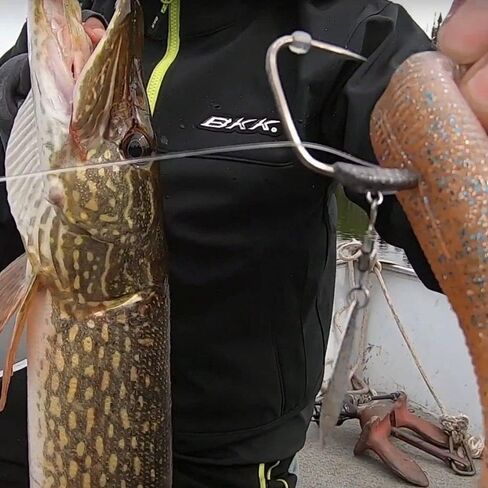 BKK TITANDIVER Soft Plastic Hook in Kuwait