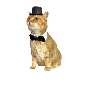 Black top hat for cat or small dog - Wedding - With Bow Tie - Handmade Cat Hats