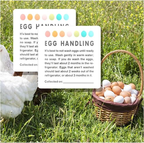 ملصقات العناية بالبيض الطازج، ملصقات العناية بالبيض الطازج من المزرعة، تعليمات التعامل مع البيض، ملصقات تاريخ جمع البيض، ملصقات كرتون البيض، مجموعة من 50 قطعة in Kuwait