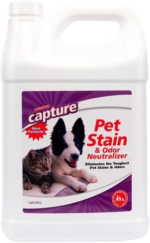 Capture Pet Stain & Odor Remover - Enzyme Pet Odor Eliminator - 32oz Spray in Saudi Arabia