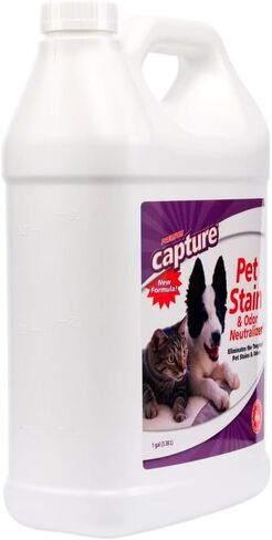 Capture Pet Stain & Odor Remover - Enzyme Pet Odor Eliminator - 32oz Spray in Saudi Arabia