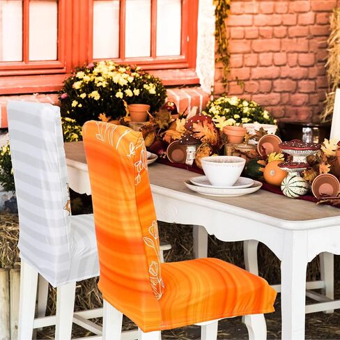 6Pcs Fall Chair Cover Pumpkin Gnome Leaves Dining Chair Stretch Slipcover Removable Seat Cover for Autumn Harvest Thanksgiving Kitchen Home Hotel Restaurant in Saudi Arabia