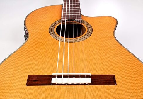 كوردوبا فيوجن 12 مابل كروس كوتاواي جيتار كهربائي صوتي من النايلون، سلسلة فيوجن in Kuwait