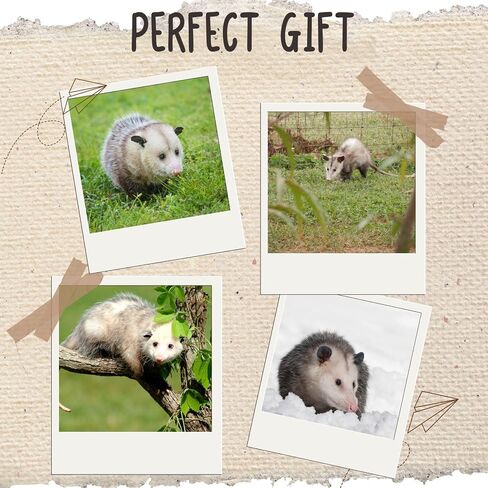 InnoBeta Possum Gifts for Possum Lovers, Possum Socks for Christmas & Birthday, One Size Crew Socks in Saudi Arabia