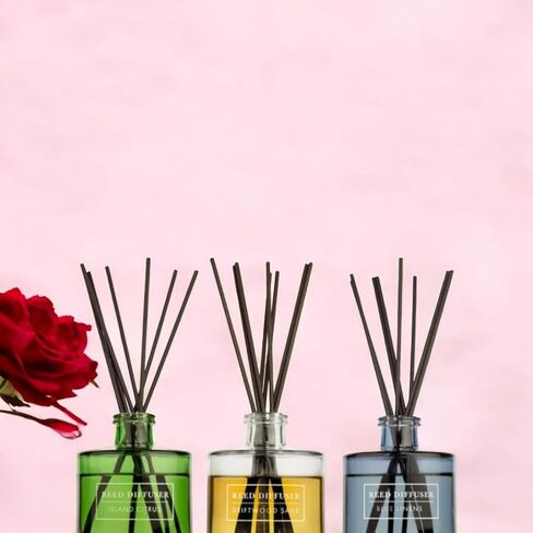 Bellevue Reed Diffuser Set, Three 6 fl oz Glass Filled Diffuser, Highly Concentrated Fragrances with Essential Oils, Home Fragrance (Island Citrus, Driftwood Sand, Blue Linens) (Pack of 2) in Saudi Arabia