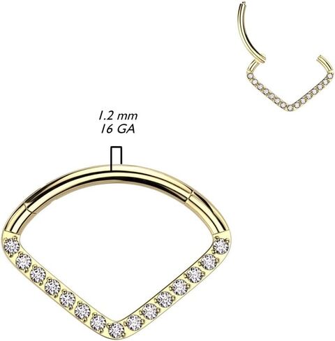 Pierced Owl 16GA F136 Implant Grade Titanium CZ Crystal Lined Chevron Shaped Hinged Segment Ring in Saudi Arabia