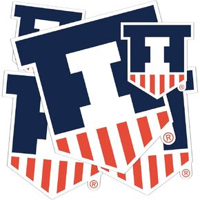 Desert Cactus University of Illinois Stickers Fighting Illini U of I Vinyl Decals Laptop Water Bottle Car Scrapbook 11.42x8.94 Sheet T3 (Type 3-1) in Saudi Arabia