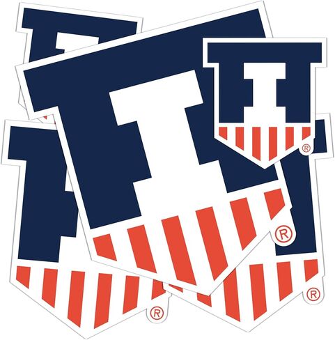 Desert Cactus University of Illinois Stickers Fighting Illini U of I Vinyl Decals Laptop Water Bottle Car Scrapbook 11.42x8.94 Sheet T3 (Type 3-1) in Saudi Arabia
