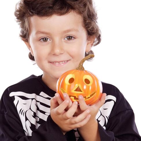NUOBESTY 24pcs Pumpkin Stems for Craft Halloween Artificial Pumpkin Stem Fake Pumpkin Stems DIY Pumpkin Heads Decor Supplies for Thanksgiving Harvest Fall in Saudi Arabia