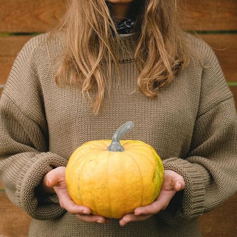 NUOBESTY 24pcs Pumpkin Stems for Craft Halloween Artificial Pumpkin Stem Fake Pumpkin Stems DIY Pumpkin Heads Decor Supplies for Thanksgiving Harvest Fall in Saudi Arabia