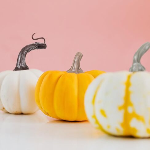NUOBESTY 24pcs Pumpkin Stems for Craft Halloween Artificial Pumpkin Stem Fake Pumpkin Stems DIY Pumpkin Heads Decor Supplies for Thanksgiving Harvest Fall in Saudi Arabia