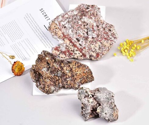 Natural Chalcopyrite Rock Specimens Symbiosis Red Crystal Quartz Rough Mineral Stone Collection Crystal Gifts 0.4-0.6 Pound in Kuwait