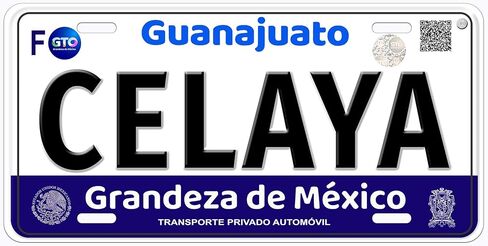 Celaya Guanajuato Mexico Personalized Novelty Car Auto License Plate Any Name in Saudi Arabia