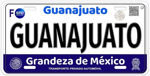 Celaya Guanajuato Mexico Personalized Novelty Car Auto License Plate Any Name in Saudi Arabia