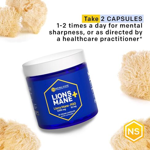 NATURAL STACKS Cordyceps Mushroom Supplement with Yerba Mate - Advanced Brain Energy Formula - 100% Fruiting Body Mushrooms - Supports Cognitive Performance - 60 Mushroom Capsules in Kuwait