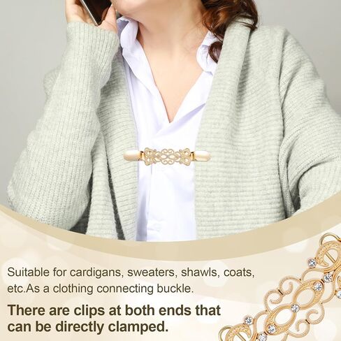 Joez Wonderful 4 Pcs Dress Clips Back Cinch, Alloy Vintage Waist Cincher Clip, Retro Cardigan Tightener, Hat Dress Shirt Shawl Cardigan Clips for Women in Saudi Arabia