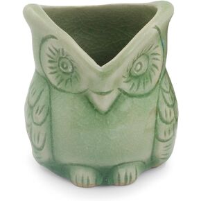 NOVICA Happy Green Owl Celadon Ceramic Toothpick Holder