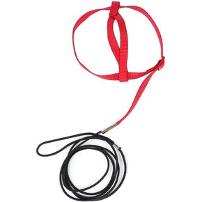 Parrot Harness Leash, Anti-Bite Bird Harness Lead Adjustable Parrot Flying Training Rope for Parrot Budgerigar Lovebird Cockatiel