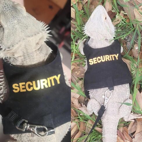 Lizards Clothes with Leash Set for Bearded Dragon Geckos Reptiles Apparel Lizard Reptiles Harness Hand-Made for Bearded Dragon Lizards Geckos (Security+Explorer) in Saudi Arabia