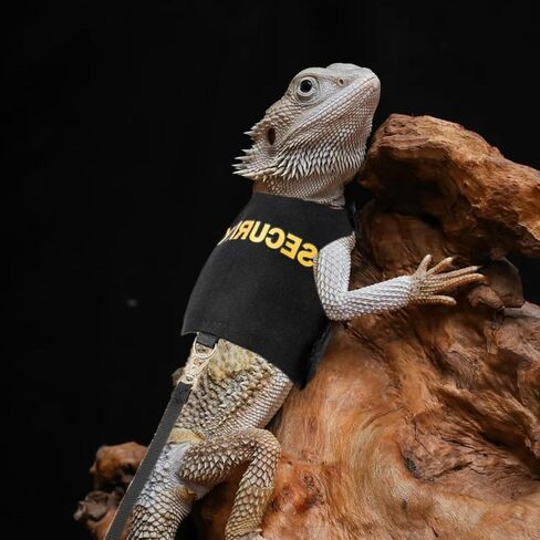 Lizards Clothes with Leash Set for Bearded Dragon Geckos Reptiles Apparel Lizard Reptiles Harness Hand-Made for Bearded Dragon Lizards Geckos (Security+Explorer) in Saudi Arabia