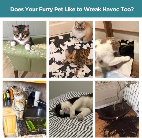 خرز جل رادع للقطط برائحة الحمضيات في الأماكن المغلقة، قطعتان من رادع القطط في الأماكن المغلقة للقطط والقطط، مساعد تدريب رادع للخدش للأثاث والأرائك والسجاد والستائر والنباتات، مناسب لجميع القطط in Kuwait