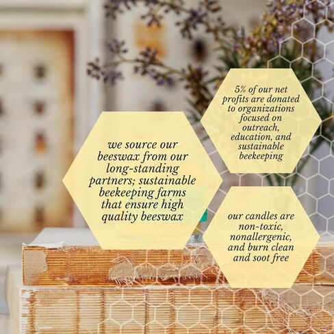 Big Dipper Wax Works Beeswax Aromatherapy Candle, Balance, Apothecary Glass, Peppermint & Lavender Scented, 25-Hour Burn, Pure Essential Oils, 2" x 2.5" in Kuwait